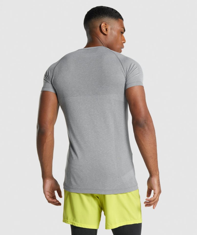 Koszulki Gymshark Vital Light Seamless Męskie Szare | PL 895KNY